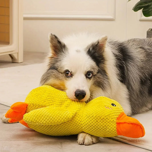 Duck Toy for Dogs
