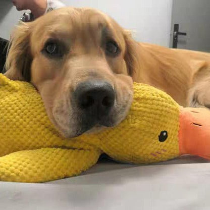 Duck Toy for Dogs