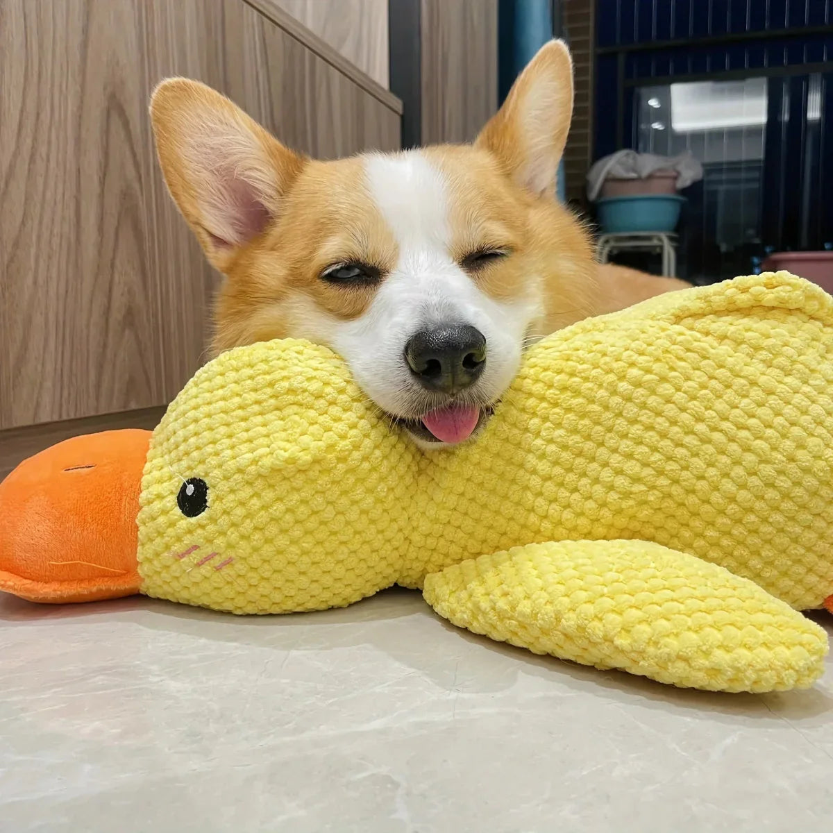 Duck Toy for Dogs
