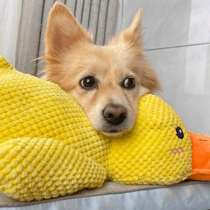 Duck Toy for Dogs