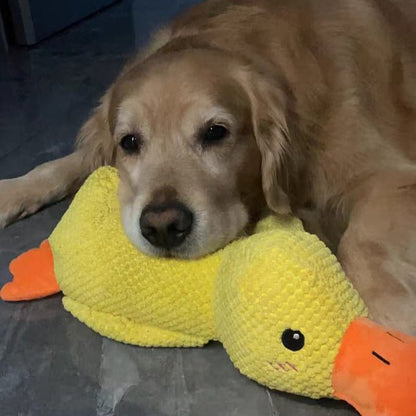 Duck Toy for Dogs