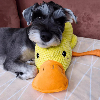 Duck Toy for Dogs