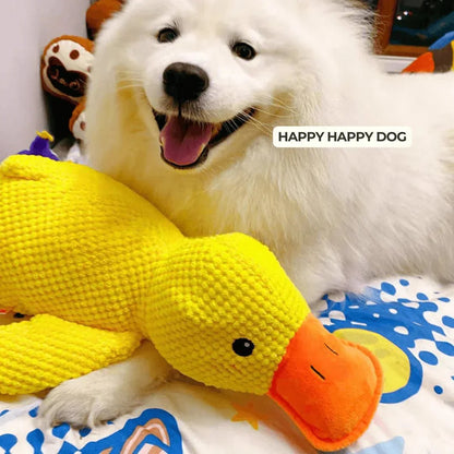 Duck Toy for Dogs