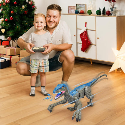 Remote Control Dinosaur Toy