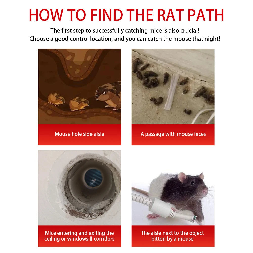 Reusable Mouse Trap Cage Sliding Door