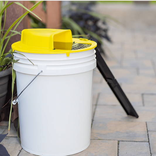 Automatic Rodent Trap Mouse Catcher Flip Trap