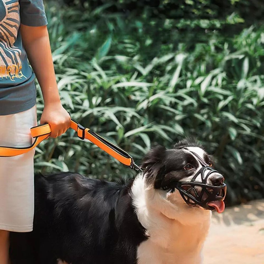 Dog Muzzle Safety Device Adjustable Nylon Canine Muzzle