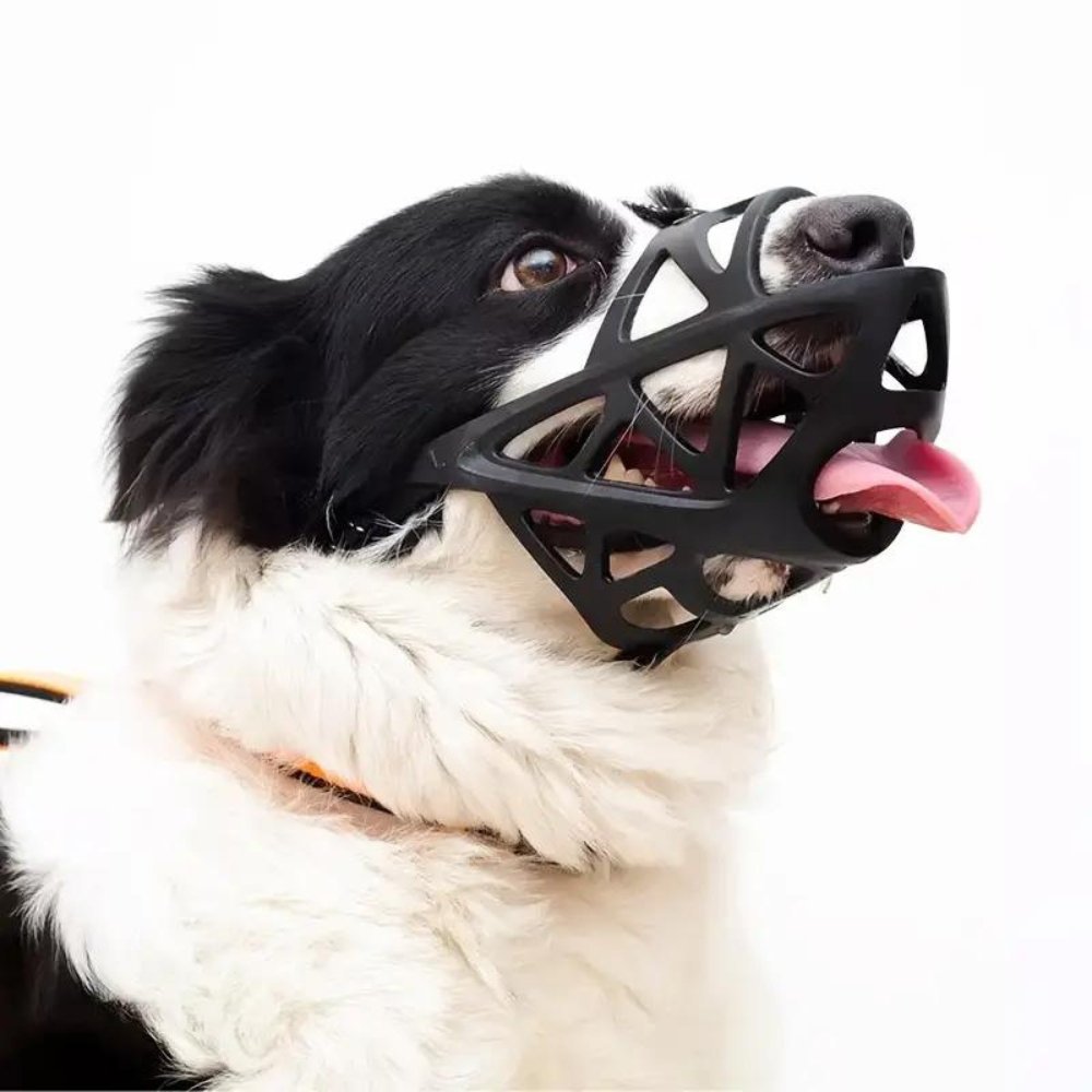 Dog Muzzle Safety Device Adjustable Nylon Canine Muzzle