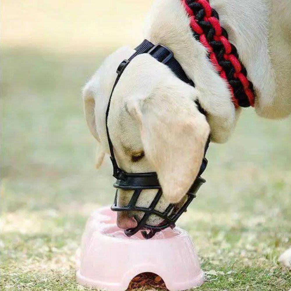 Dog Muzzle Adjustable Safety Canine Muzzle SecureFit