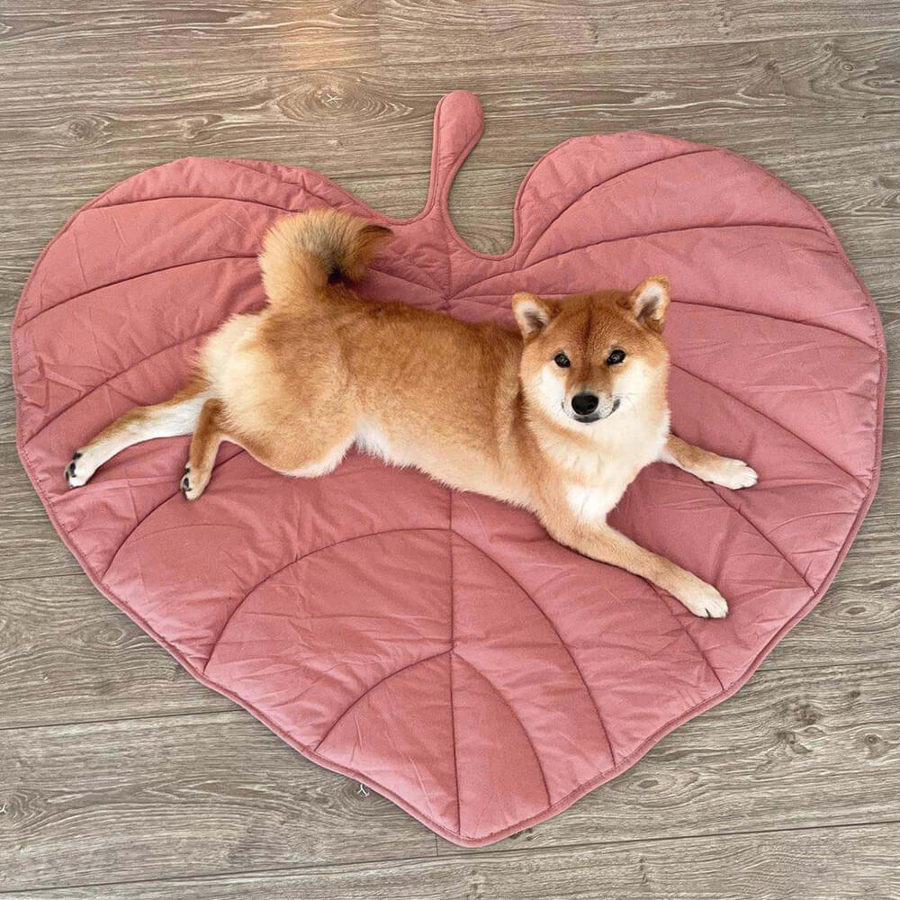 Large Dog Blanket Mat