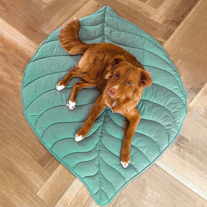 Large Dog Blanket Mat