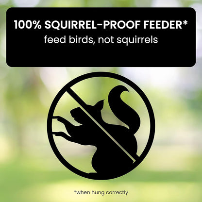 Squirrel Proof Bird Feeder Hanging Outdoor Garden Feeder