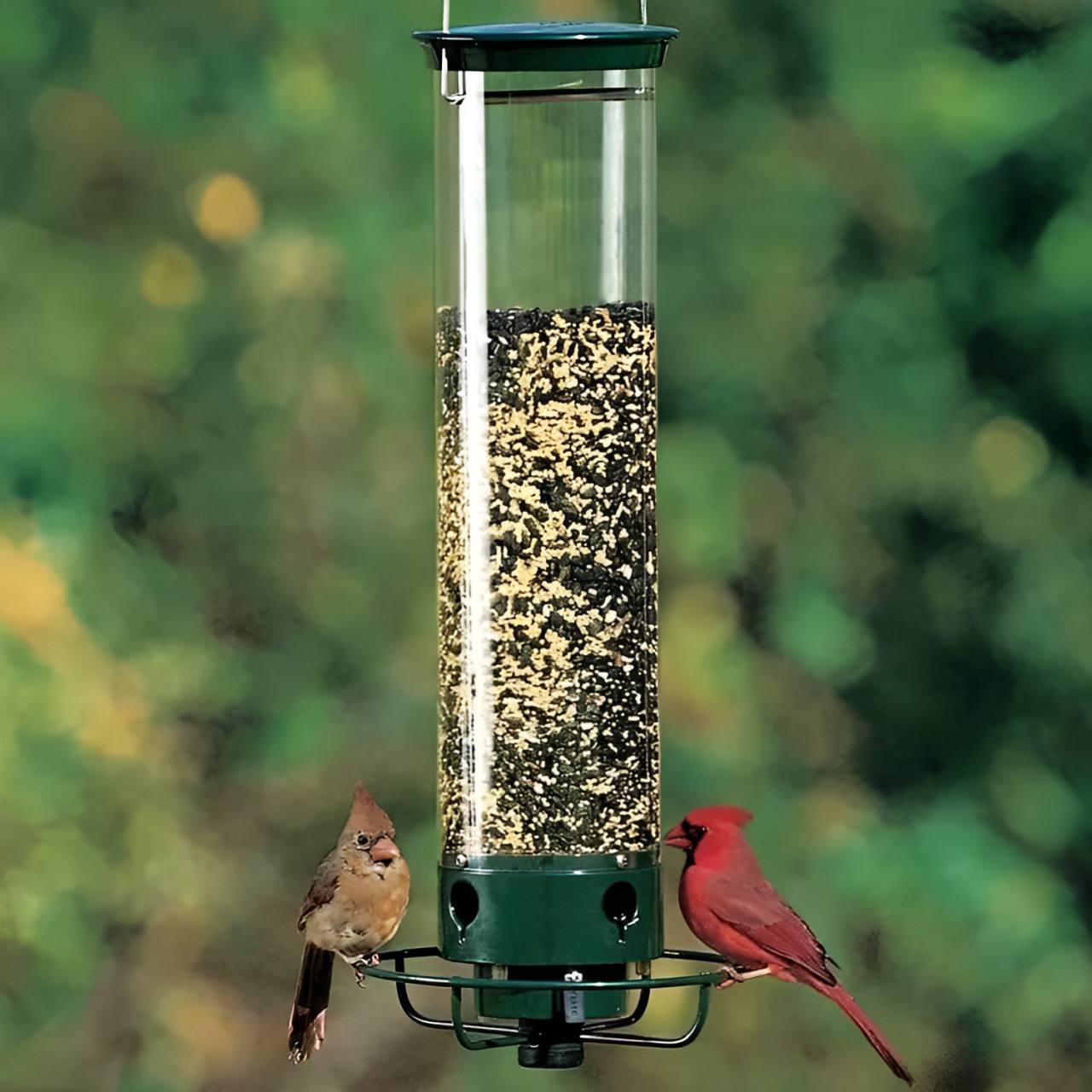 Squirrel Proof Bird Feeder Hanging Outdoor Garden Feeder
