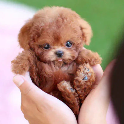 Puppy Toy Plush Dog Stuffed Animal Toy