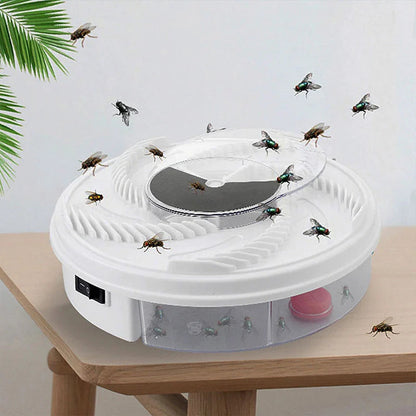 USB Fly Trap