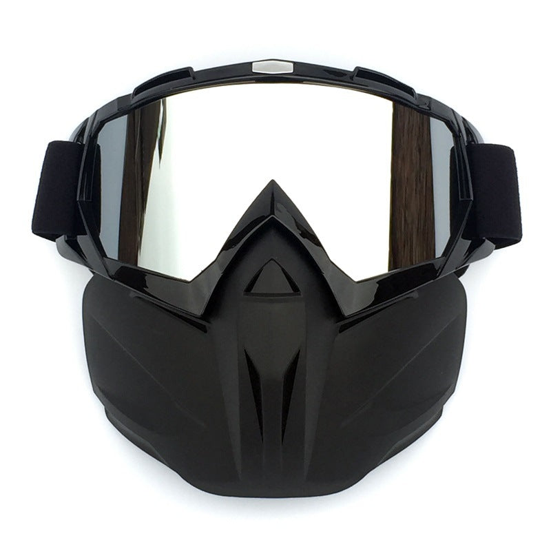 Windproof Anti-Fog Ski Goggles with Storage Box