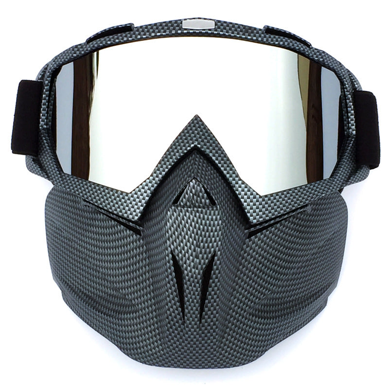 Windproof Anti-Fog Ski Goggles with Storage Box