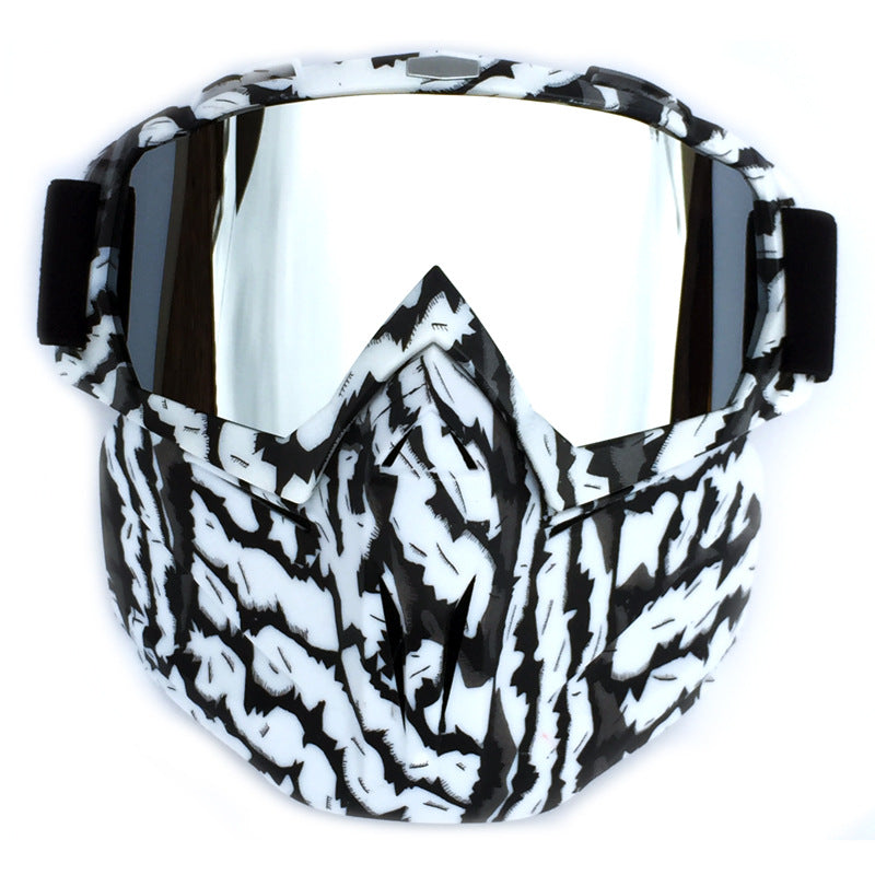 Windproof Anti-Fog Ski Goggles with Storage Box