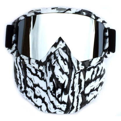 Windproof Anti-Fog Ski Goggles with Storage Box