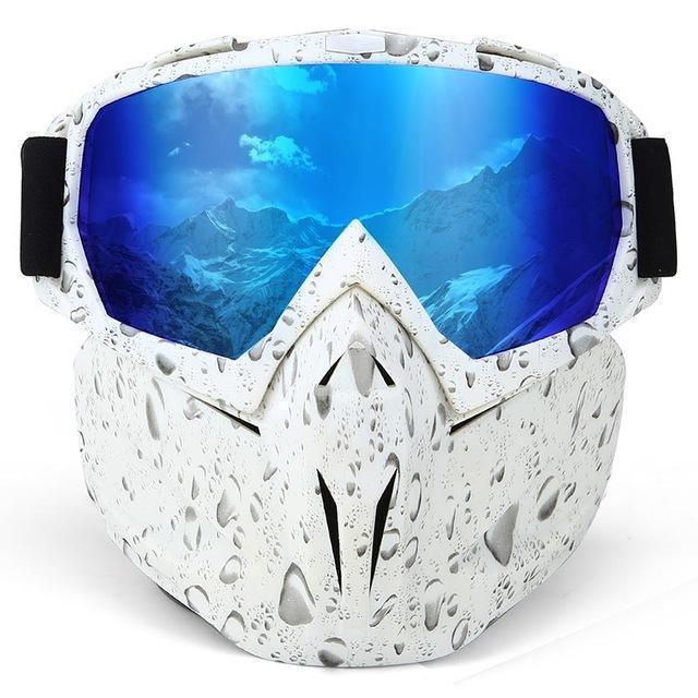 Windproof Anti-Fog Ski Goggles with Storage Box