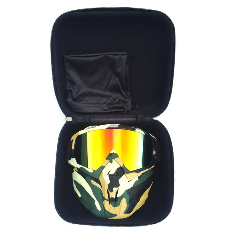 Windproof Anti-Fog Ski Goggles with Storage Box