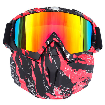 Windproof Anti-Fog Ski Goggles with Storage Box