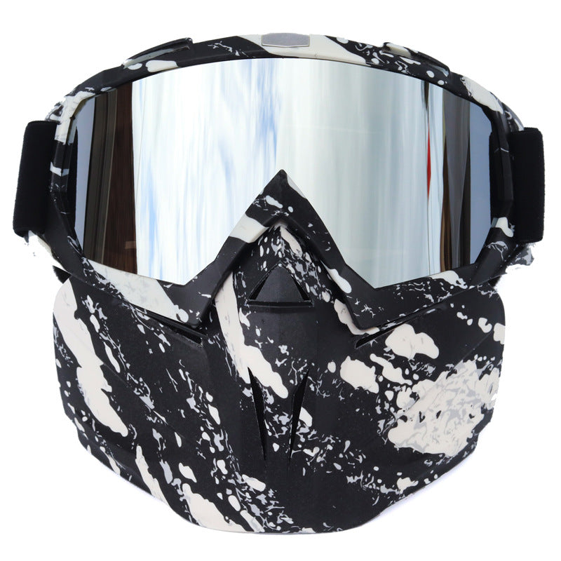 Windproof Anti-Fog Ski Goggles with Storage Box