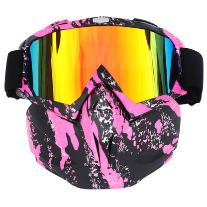 Windproof Anti-Fog Ski Goggles with Storage Box